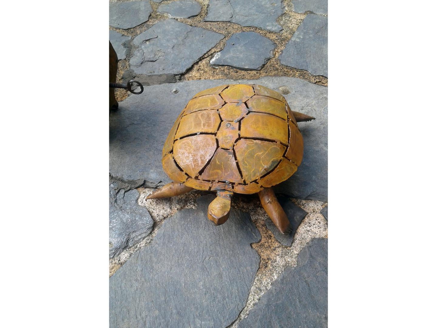 Tortue